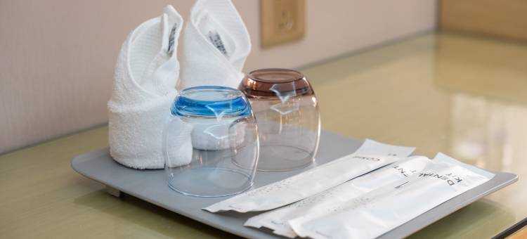 麗枫酒店(乌鲁木齐天山国际机场德港万达店)图片