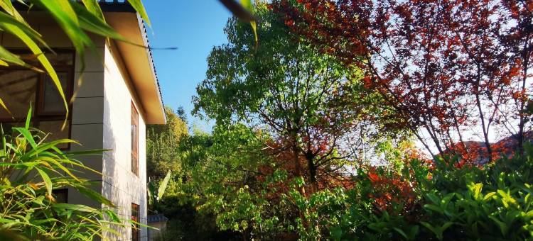 温汤镇军地人生精品客栈图片