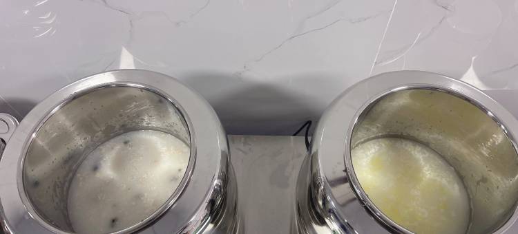 元宝杜鹃庄园(百里杜鹃风景区店)图片