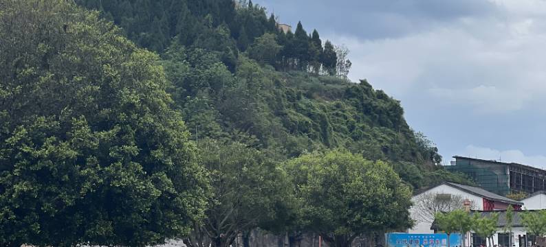 蓬安鸿逸居商务酒店图片
