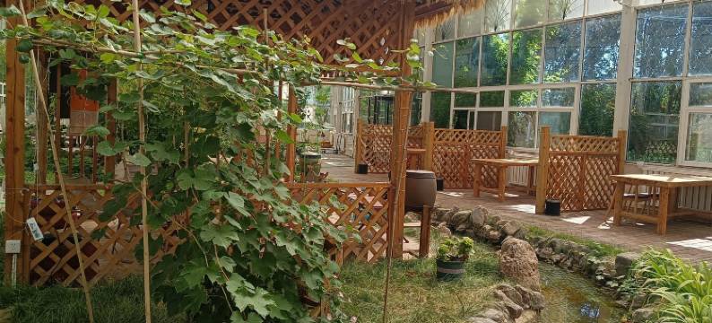 青果树屋营地图片