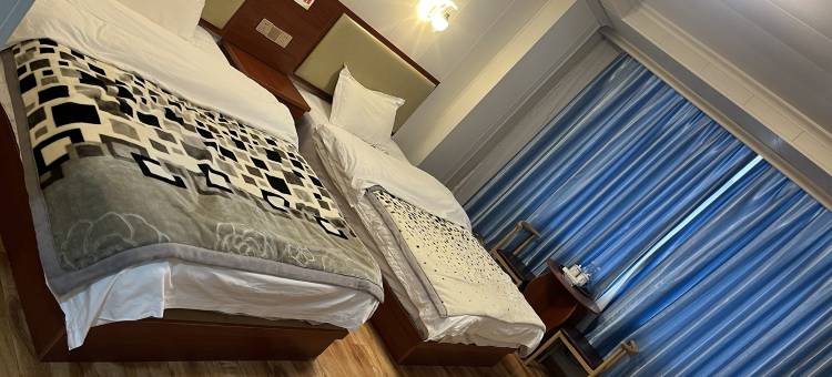 萨嘎新成假日酒店图片