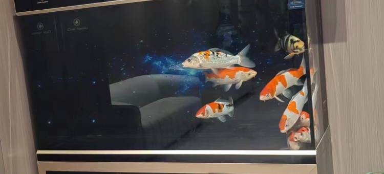铭馨居酒店图片