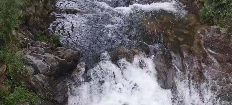 山舍·森林氧吧·溪畔观景设计师美宿(老君山云景索道店)图片