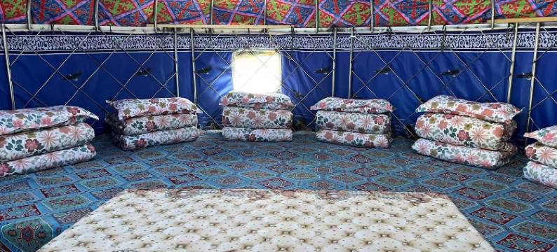 白哈巴一棵树民宿图片