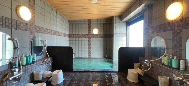 露樱酒店福井站前店(Hotel Route-Inn Fukui Ekimae)图片