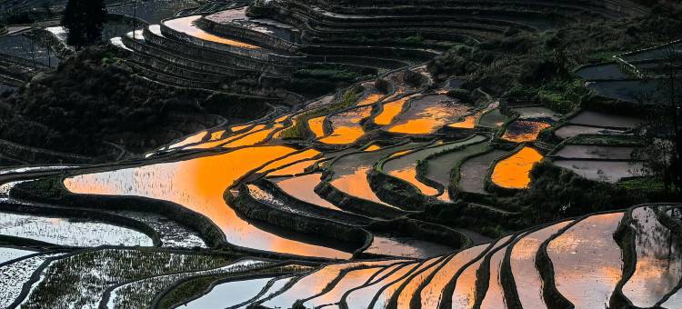 元阳向往民宿(梯田景区店)图片