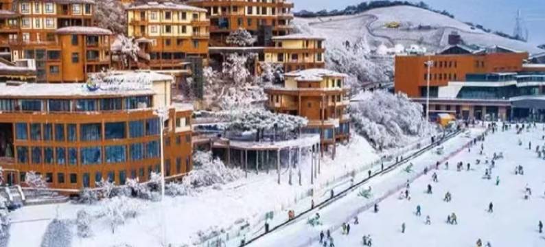 桂花树下·岙居亲子赏雪度假美宿(山沟沟景区)图片
