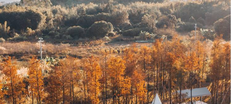 韶关乳源云门5季雅阁度假酒店图片