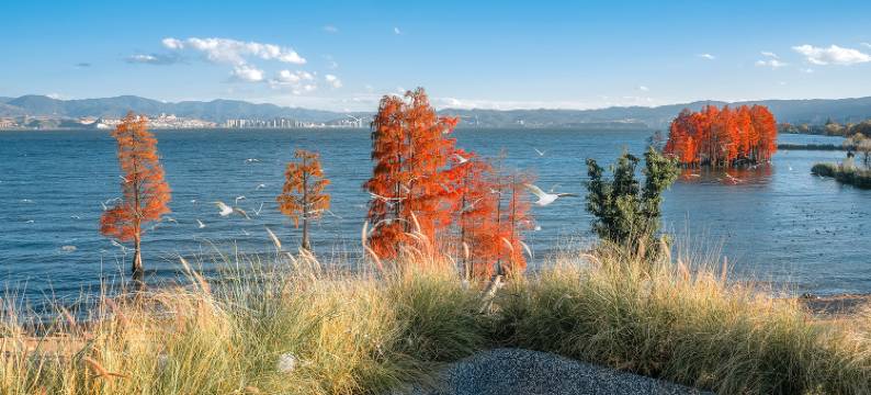 大理花语堂海景度假酒店图片