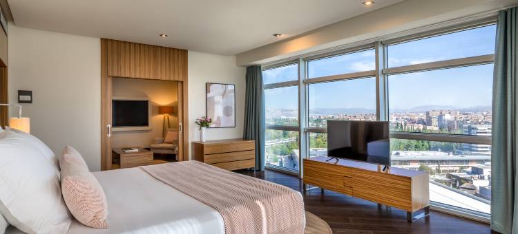 格拉纳达巴塞罗会议酒店(Barceló Granada Congress)图片