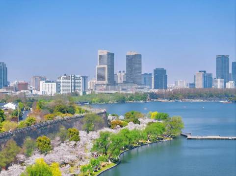 南京金茂威斯汀大酒店图片