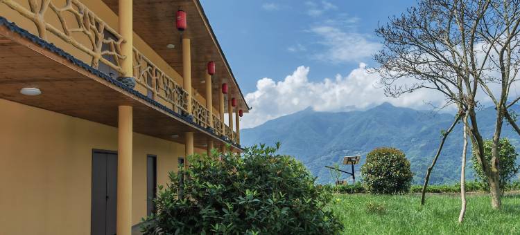 南宫山茶居图片