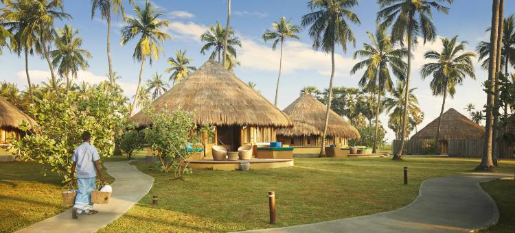 杰特威猎海奢境(Jetwing Surf & Safari, A Luxury Reserve)图片