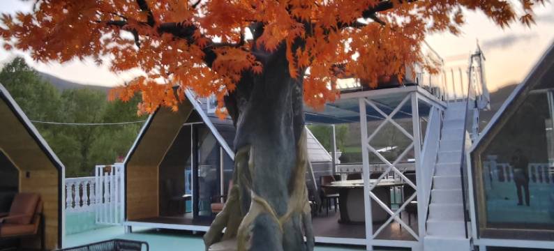 俩赛8号部落图片