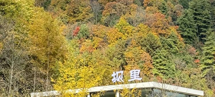 广元坝里·日出云涌·森林庭景民宿(望远山旅游度假区店)图片