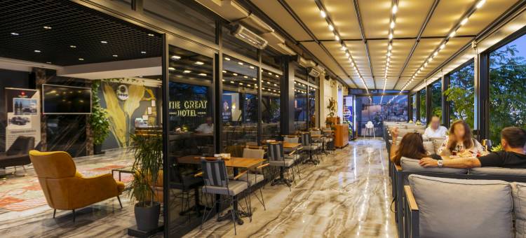 伟大的机场酒店(The Great Airport Hotel)图片