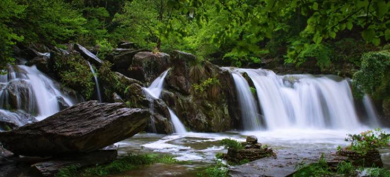 庐山西湖宾馆图片