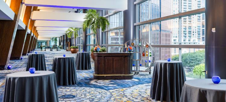 希尔顿美洲休斯顿酒店(Hilton Americas - Houston)图片