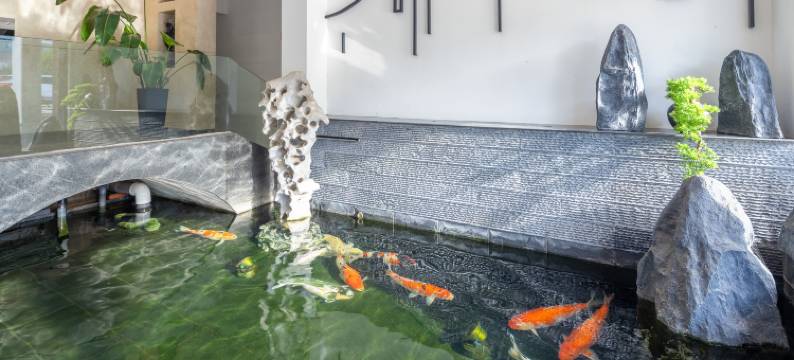 周庄白蚬湖酒店图片