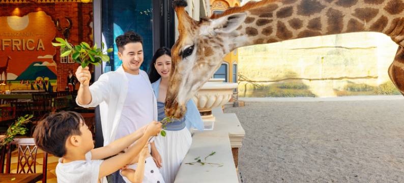 欧乐堡长颈鹿庄园酒店图片