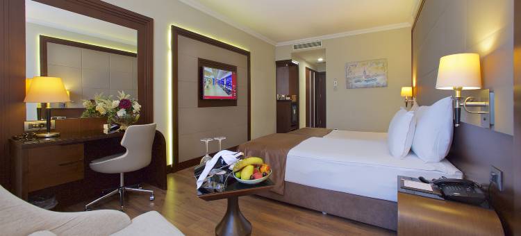 伊斯坦布尔梅尔特尔温德姆华美达套房酒店(Ramada Hotel & Suites by Wyndham Istanbul/Merter)图片