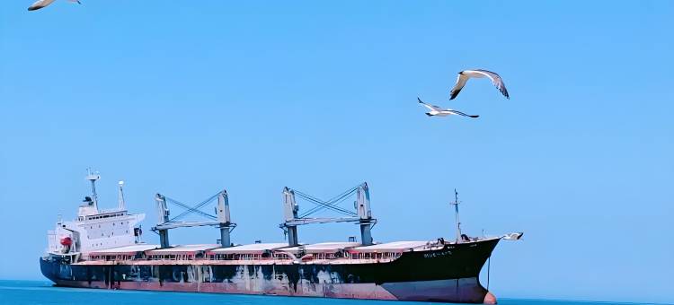 荣成成山头西霞口动物园丽呈睿轩酒店图片