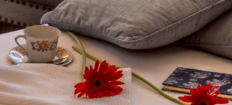 清迈映日温泉居(Chez Nij Ryokan Onsen)图片