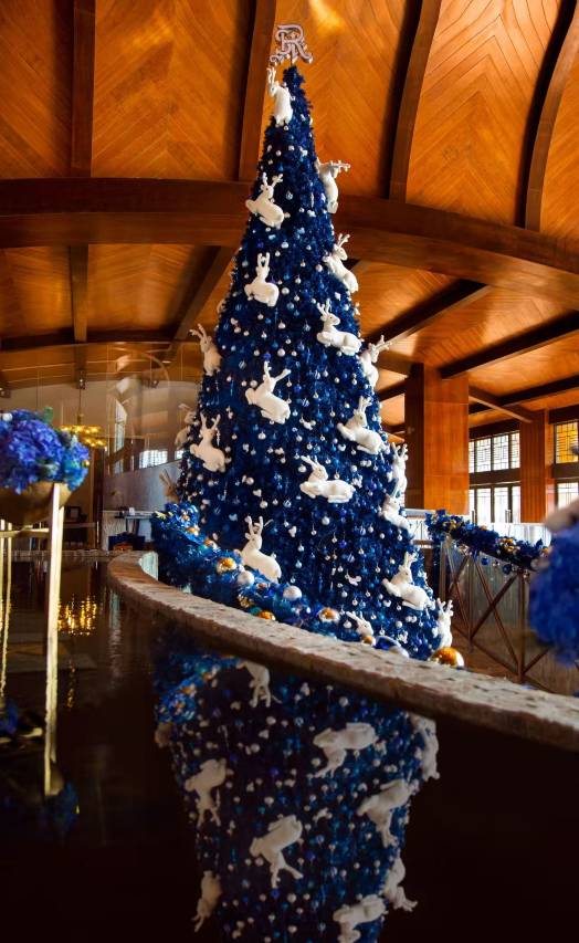 三亚亚龙湾瑞吉度假酒店图片