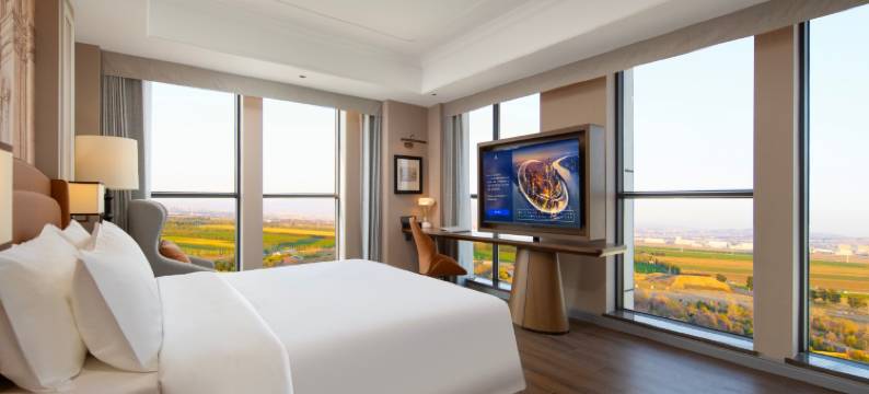 维也纳国际酒店(芜湖经开区方特乐园店)图片