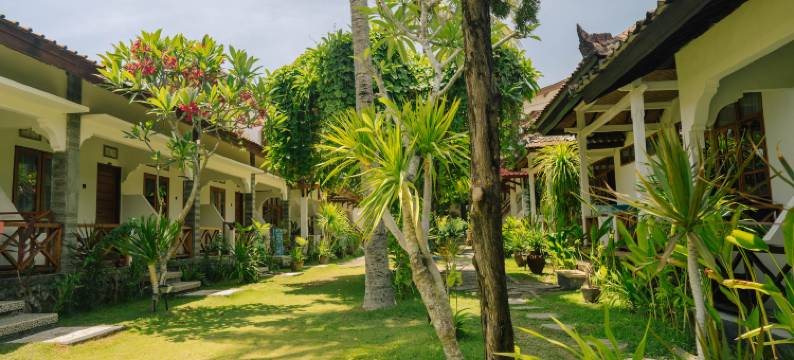 曼达利卡隐秘(The Confidential Mandalika)图片