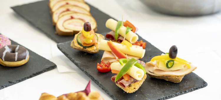 格拉茨城市广场酒店(PLAZA INN Graz City)图片