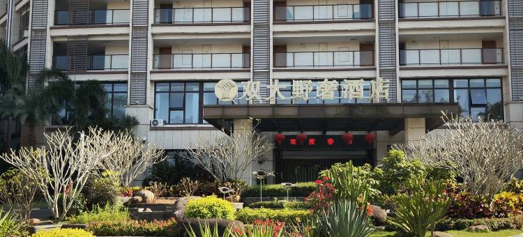 保亭双大野奢酒店图片