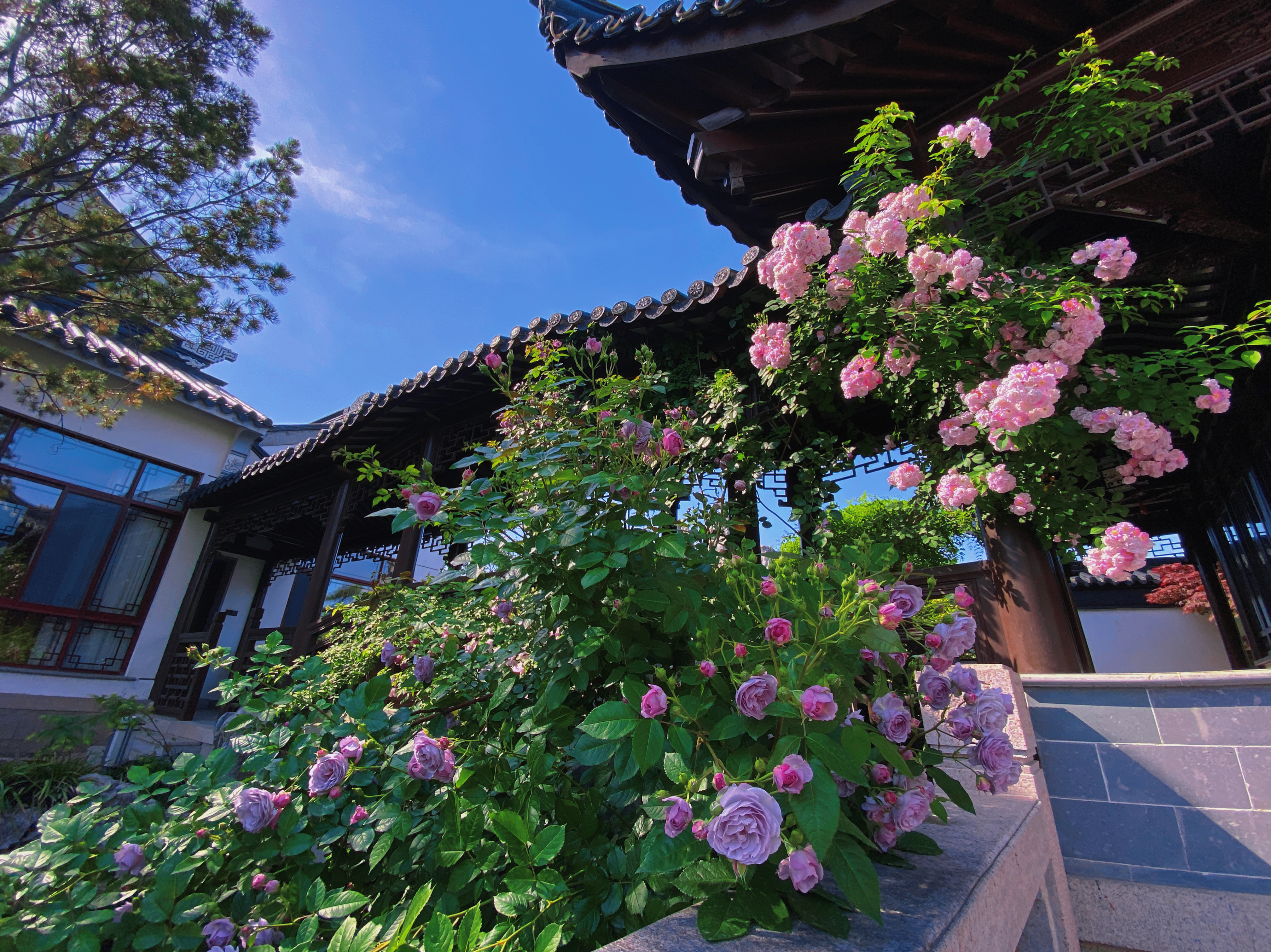 Qinyuan Art HostelOver view