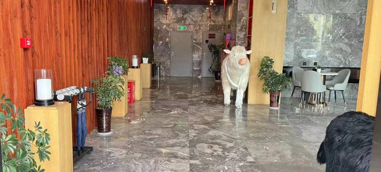 伯爵世家酒店(山南客运站店)图片