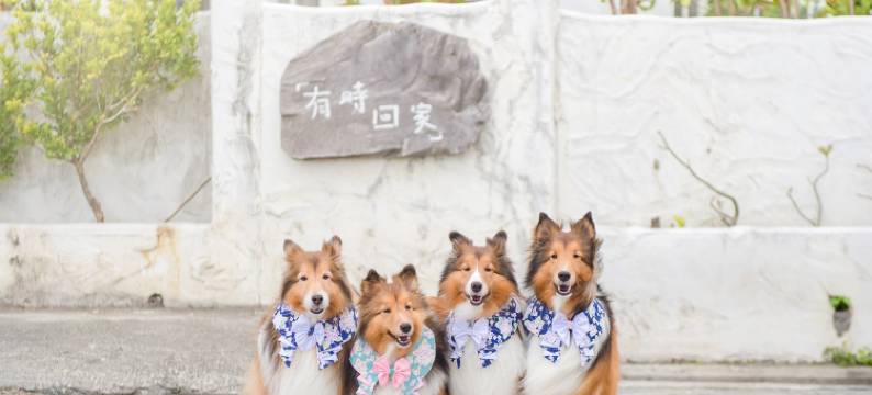 有时回家会馆图片