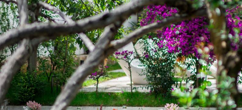 追光而遇|沐光而行·光隐villa主题露营轰趴民宿(丽江古城店)图片