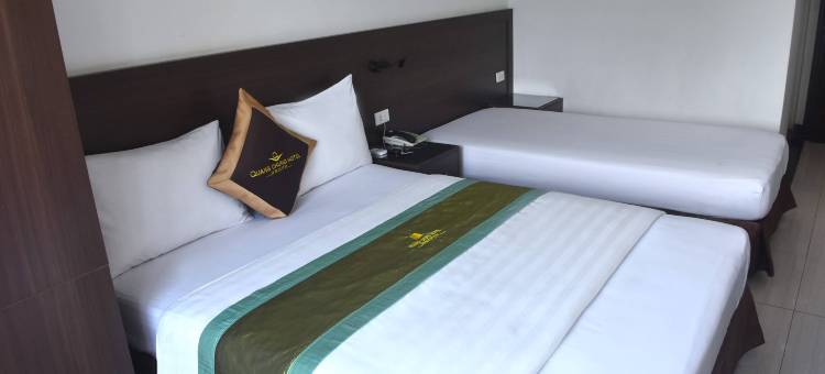星阮玉武酒店(Sao Hotel Nguyen Ngoc Vu)图片
