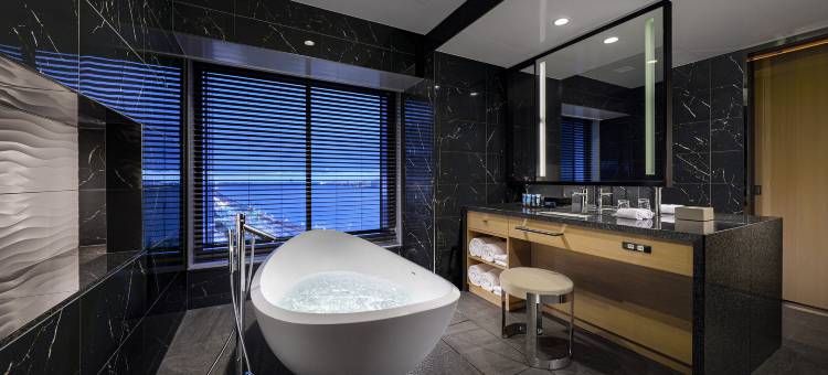 羽田机场芳亭臻品(Villa Fontaine Premier Haneda Airport)图片