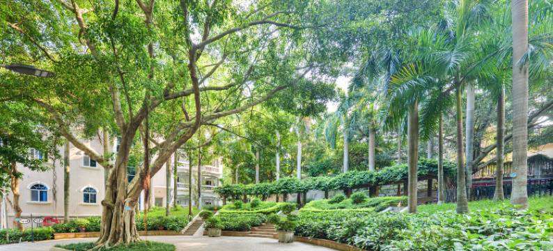 鼓浪屿鼓疗度假酒店(菽庄花园观海园沙滩店)图片