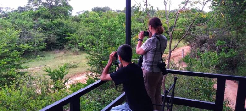 亚拉大型游戏酒店-生态团队(Big Game - Yala By Eco Team)图片