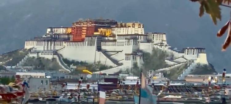 拉萨扎西德康富氧庄园酒店(八廓街大昭寺店)图片