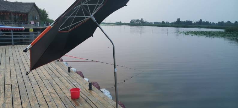 白洋淀观荷台37号农家院图片