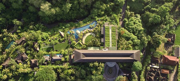 巴厘岛乌布威斯汀水疗度假酒店(The Westin Resort & Spa Ubud, Bali)图片