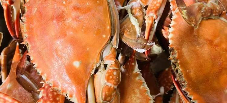 享海居民宿(烟台养马岛店)图片