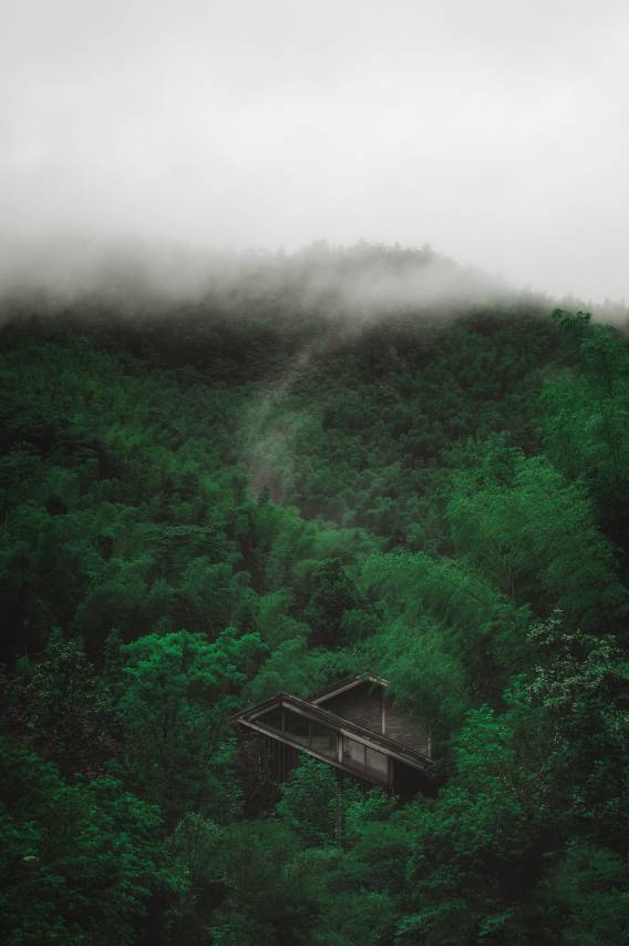 南昌雨田水巷民宿图片