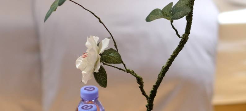 梦缘·一线江景·沱江精品民宿(凤凰古城虹桥店)图片