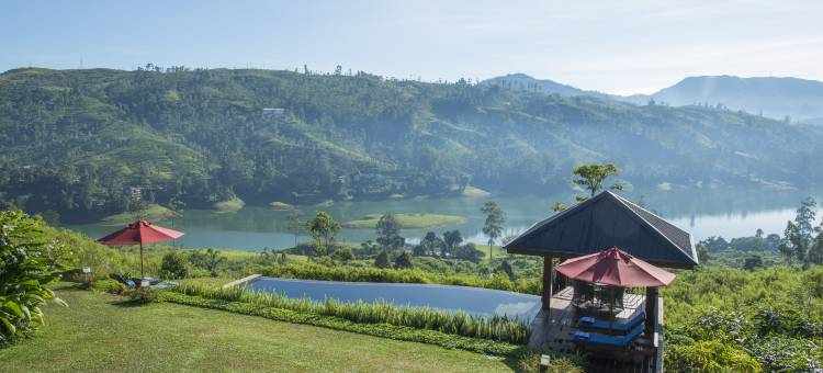 茶花山(Camellia Hills)图片