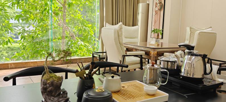 海口韦豪温泉大酒店(省政府日月广场免税店)图片