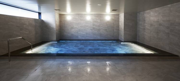 大和鲁内酒店札幌中岛公园(Daiwa Roynet Hotel Sapporo Nakajima Koen)图片